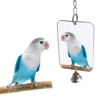 Товары для домашних животных Колокольчик, подвесная игрушка, украшение для зеркала, 1 шт. клетка для игр с попугаем, птицей-попугайчиком