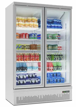 Витринные холодильники Коммерческий вертикальный дисплей для напитков с двойной стеклянной дверью