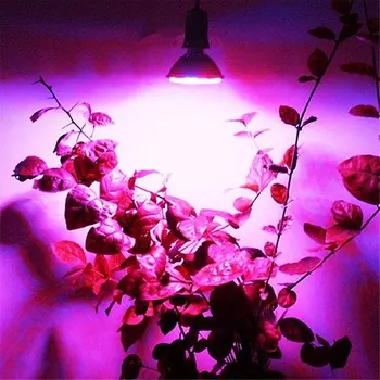 Светодиодная лампа полного спектра E27 E14 GU10 MR16 220V Тепличная Гидропонная лампа для выращивания комнатных растений, Фито-цветочная лампа