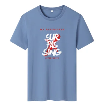 Y2k Футболка для Мужчин 2023 Летняя Мужская одежда Harajuku Мужская футболка С короткими рукавами Футболка Оверсайз Аниме Роскошная Хлопковая футболка