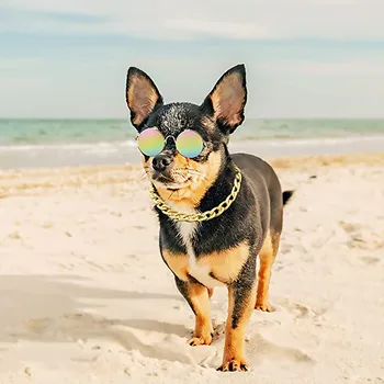 Французская собака Тедди Барго Bully- Золотая цепочка, Ошейник для мелких и средних собак, ожерелье для домашних животных, ювелирные аксессуары, прочный нагрудник для собаки